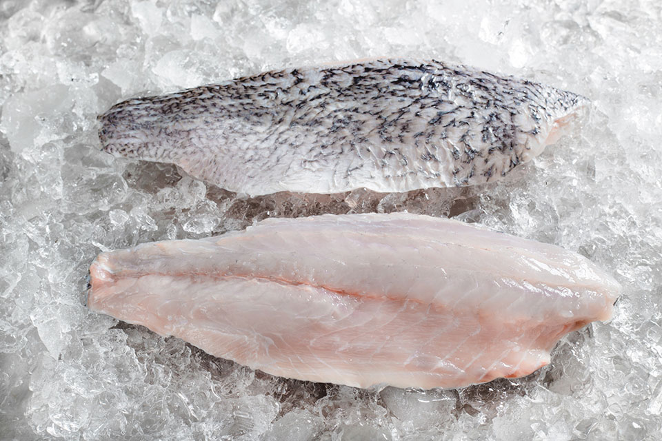 barramundi-fillet-skin-on-1