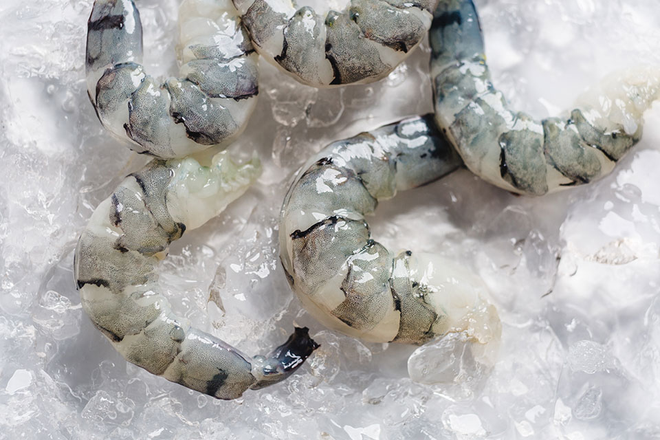 black-tiger-prawn-meat-chilled