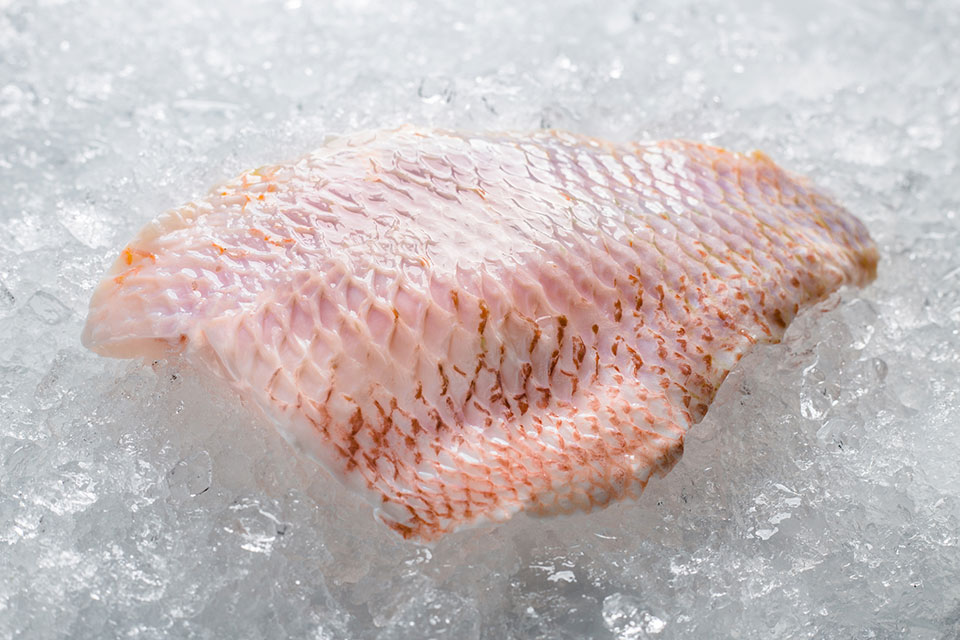 red-snapper-fillet-skin-on off-2