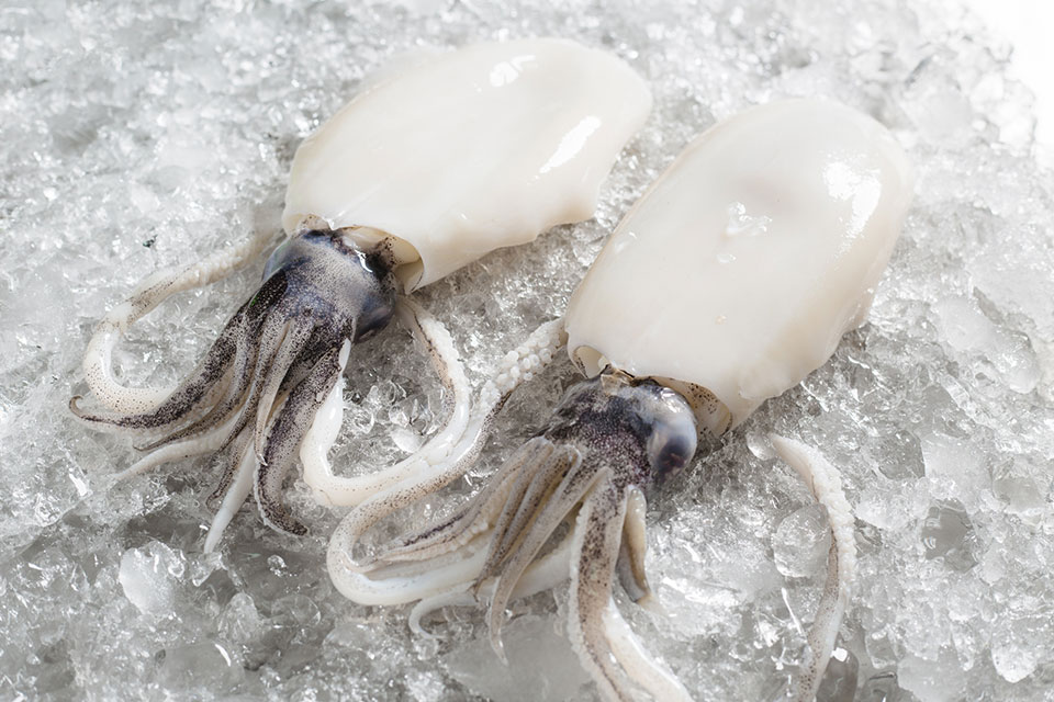 soft cuttlefish peeled