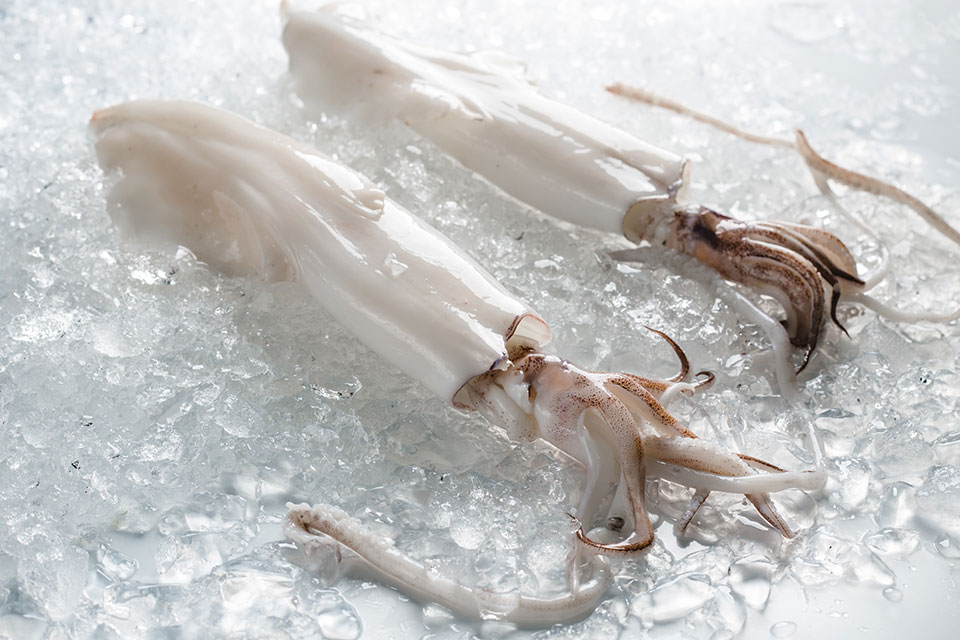 squid peeled