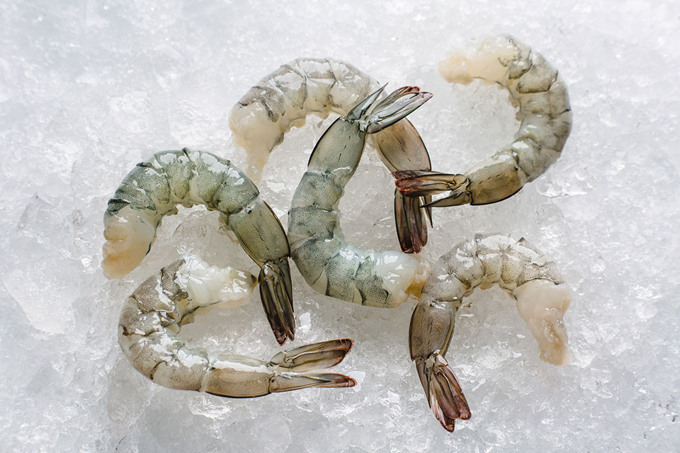 white-shrimp-farmed-2