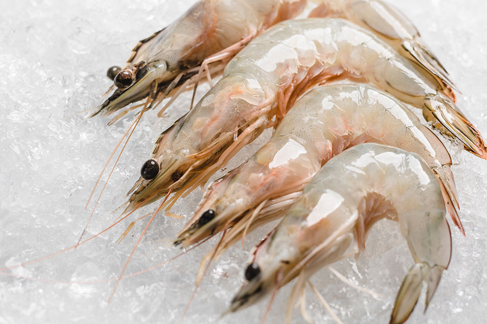 white-shrimp-wild-1